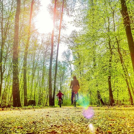 Bungis - 28 Ferienhaeuser Am Grimnitzsee G4 Joachimsthal Exteriör bild